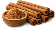 Priapus Gel — extracto de canela (Cinnamomum zeylanicum)