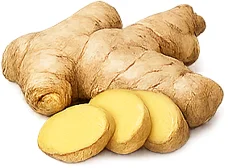 Priapus Gel — extracto de jengibre (Zingiber officinale)